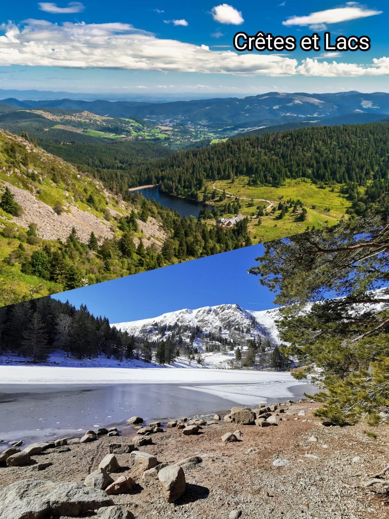Entre Ville Et Vignes - Gite Classe 3 Etoiles Ингерсайм Экстерьер фото